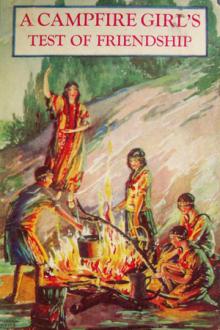 The Campfire Girls at Camp Keewaydin by Hildegard G. Frey