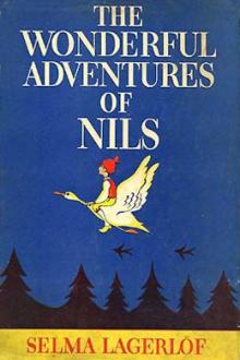 The Wonderful Adventures of Nils by Selma Lagerlöf