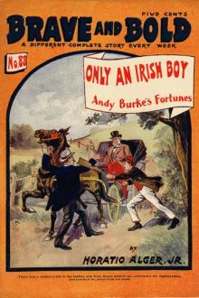 Only an Irish Boy by Jr. Alger Horatio
