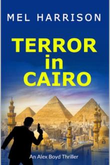 Terror in Cairo