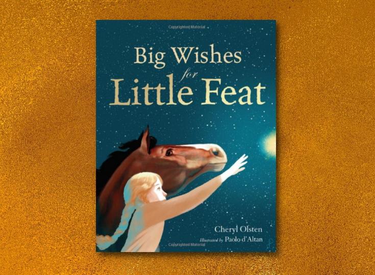 Editorial Review Big Wishes For Little Feat ManyBooks